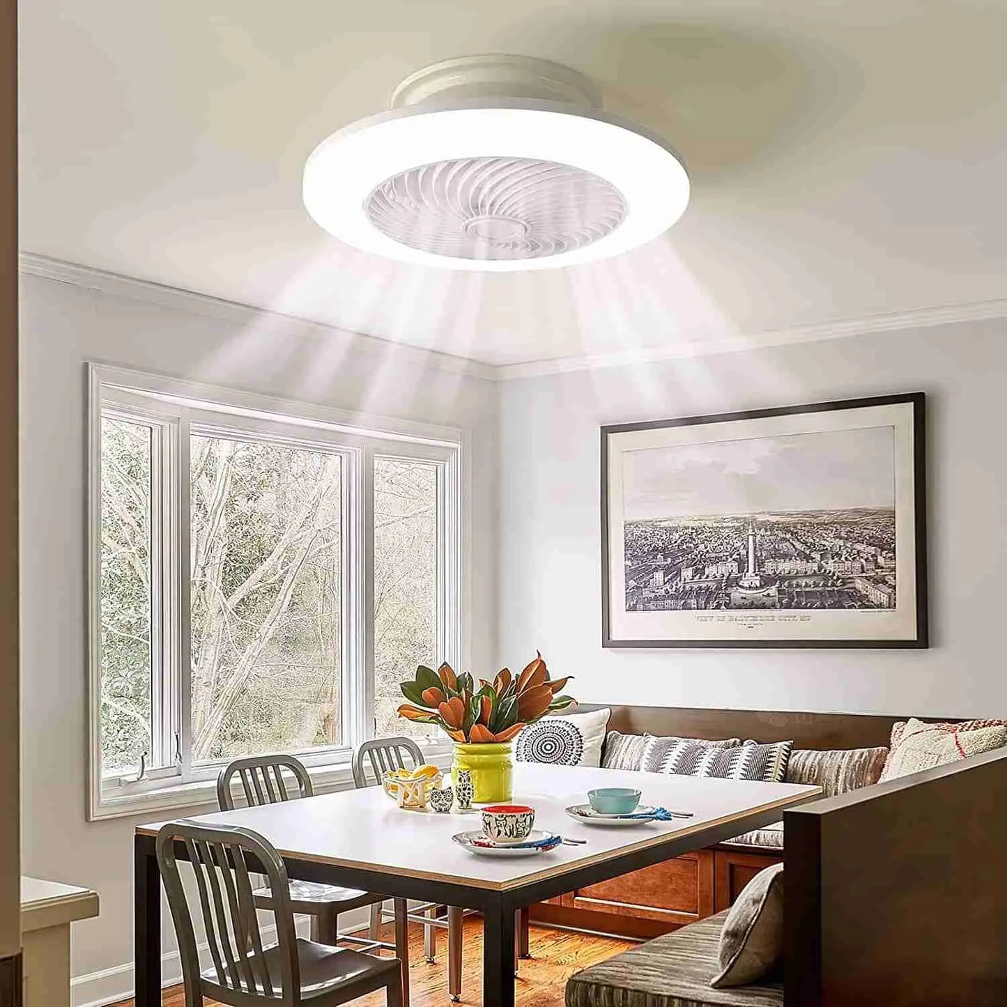 VENTILATORE DA SOFFITTO CON LUCE